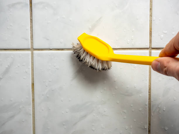 Best Residential Mold Removal  in Covington, OH