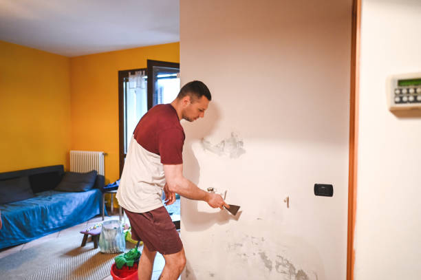 Best Affordable Mold Removal  in Covington, OH